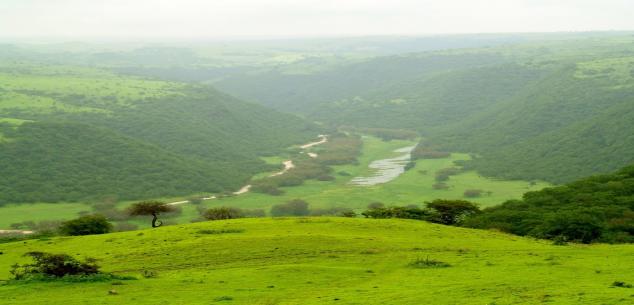 Gulf Regional Travel Bureau  UAE. | Enchanting Salalah